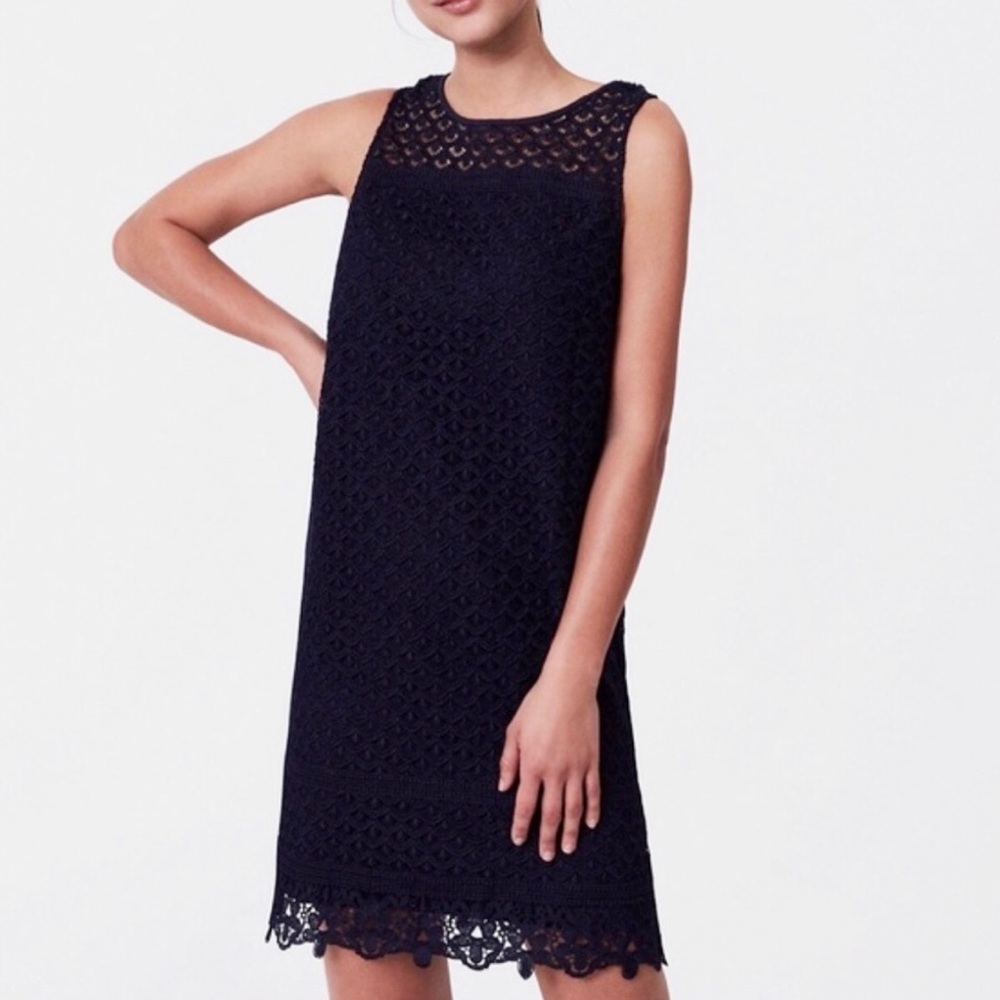 Ann Taylor LOFT | Navy Blue Fan Lace Shift Dress *NWT*